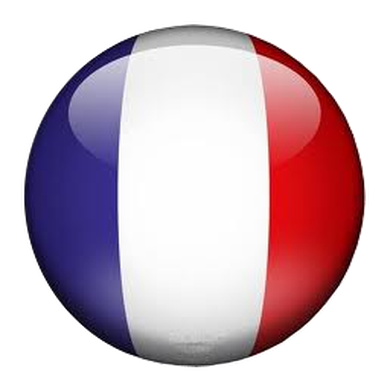 http---www.gitesaintmichel.fr-images-drapeau_francais